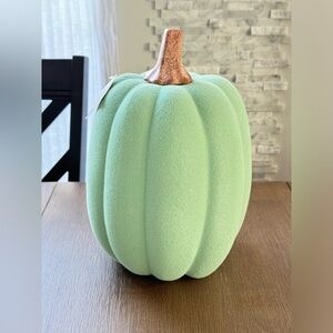 Harvest Green Flocked Pumpkin Ornament, 13" by Way To Celebrate. New. Smoke Free